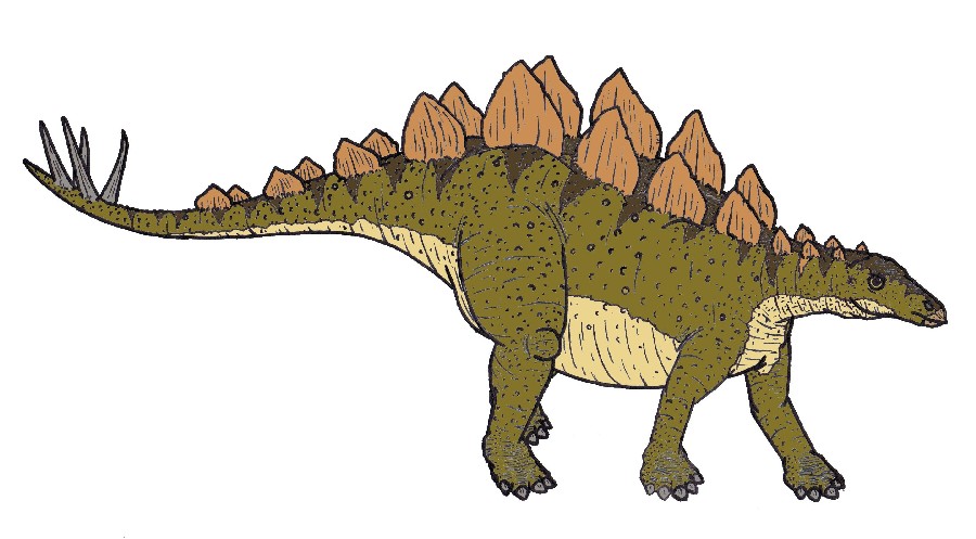High Resolution Wallpaper | Stegosaurus 900x497 px
