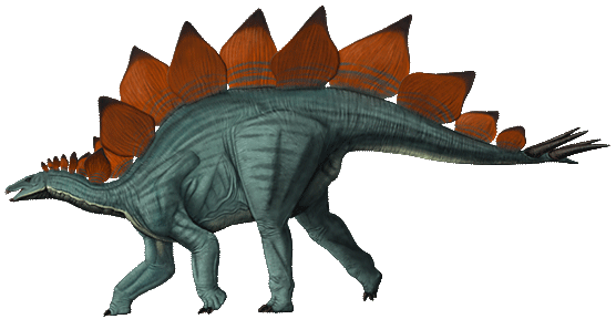 Images of Stegosaurus | 556x288