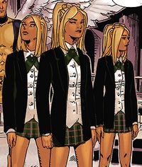 Nice Images Collection: Stepford Cuckoos Desktop Wallpapers
