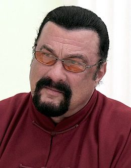 Nice wallpapers Steven Seagal  260x332px