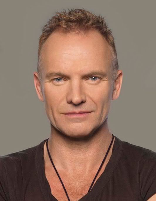 HD Quality Wallpaper | Collection: Music, 532x686 Sting