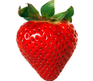 Strawberry Backgrounds, Compatible - PC, Mobile, Gadgets| 320x280 px