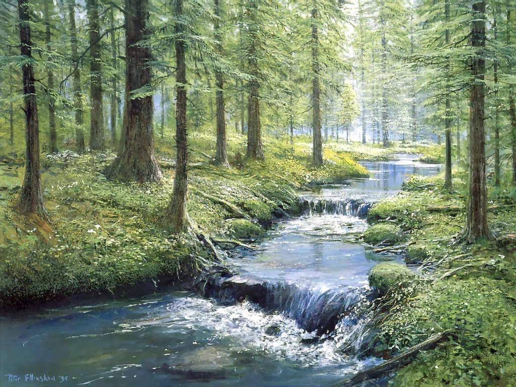 Amazing Stream Pictures & Backgrounds