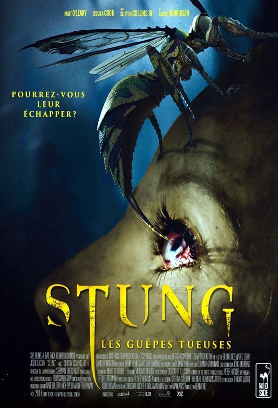 Amazing Stung Pictures & Backgrounds