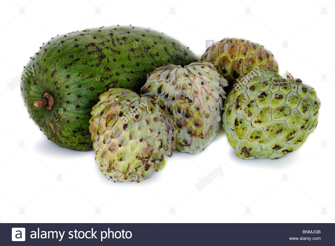 Amazing Sugar Apple Pictures & Backgrounds