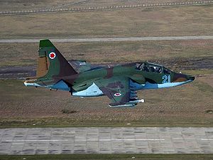 Sukhoi Su-25 #6