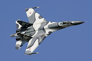 Sukhoi Su-27 #13