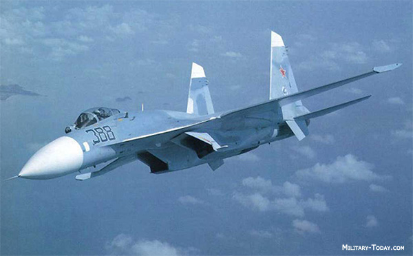 Sukhoi Su-27 #11