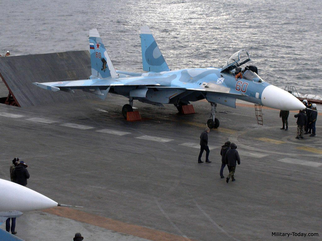 Sukhoi Su-33 #11