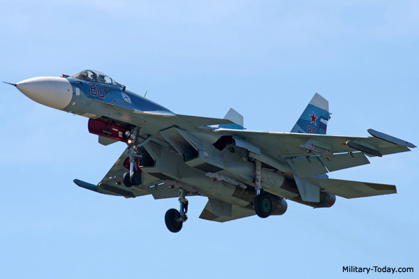 Sukhoi Su-33 #10
