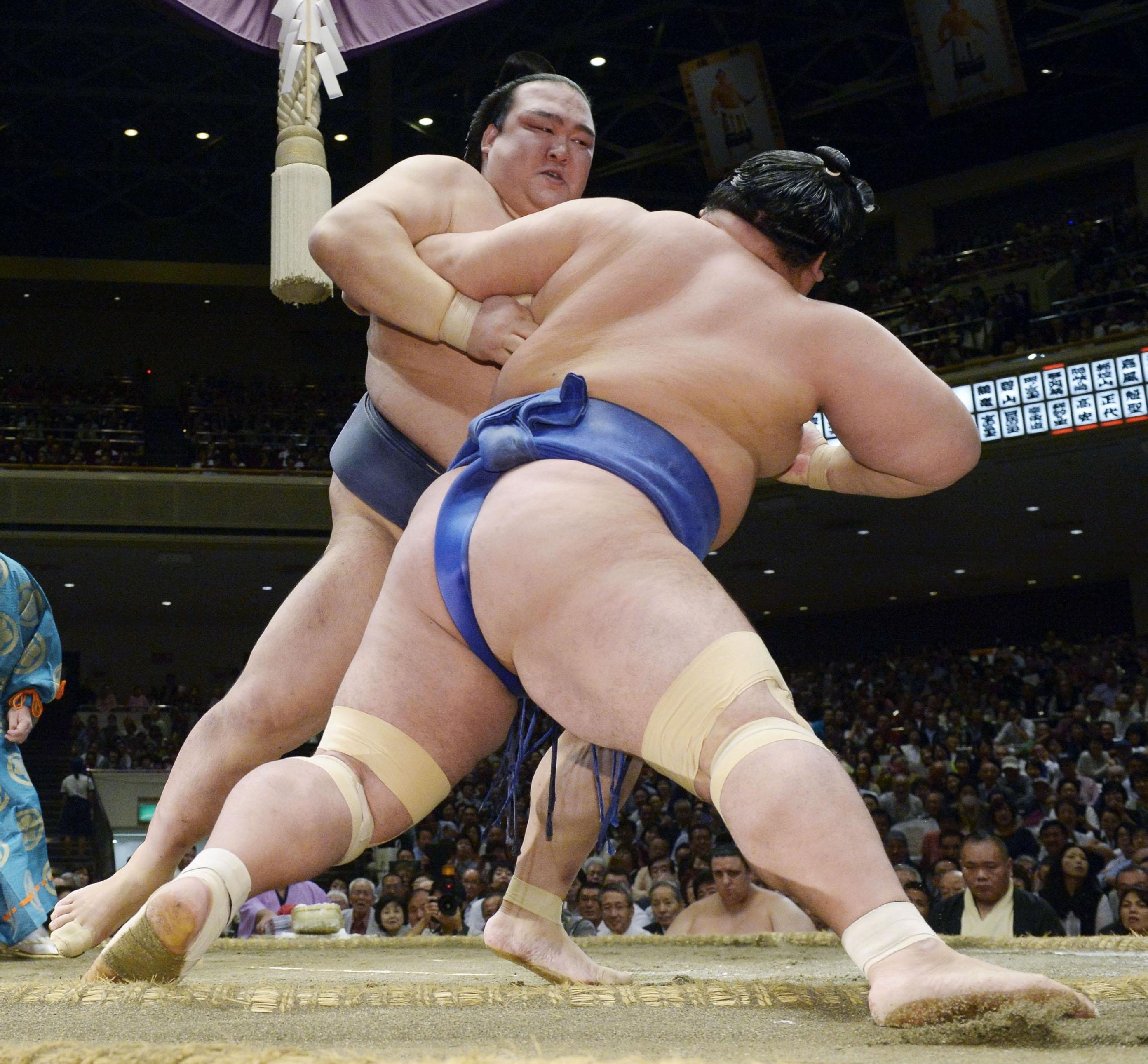 Sumo Backgrounds on Wallpapers Vista
