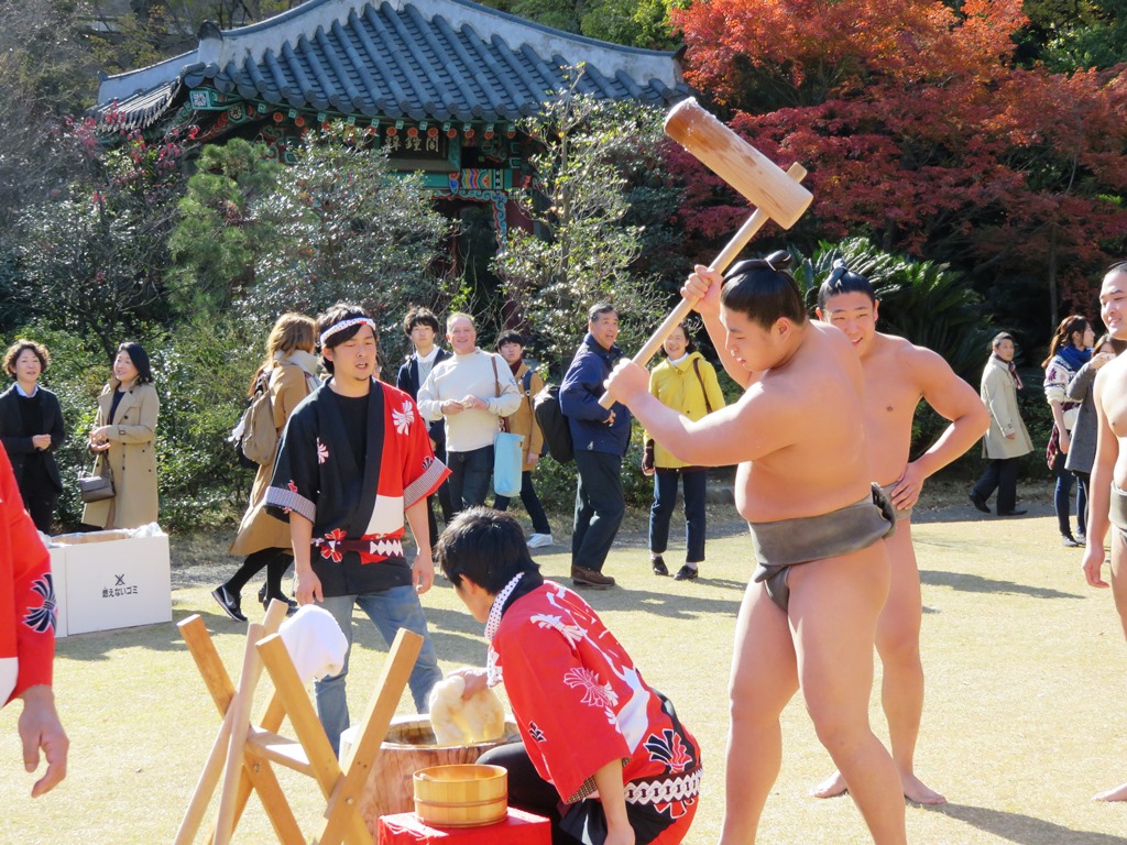 Amazing Sumo Gathering Pictures & Backgrounds