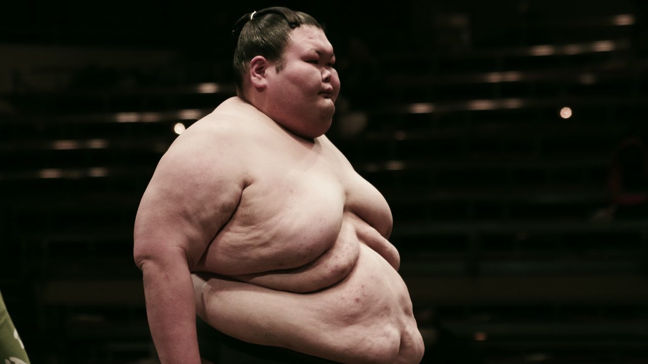 Sumo tournaments in Japan - A complete guide