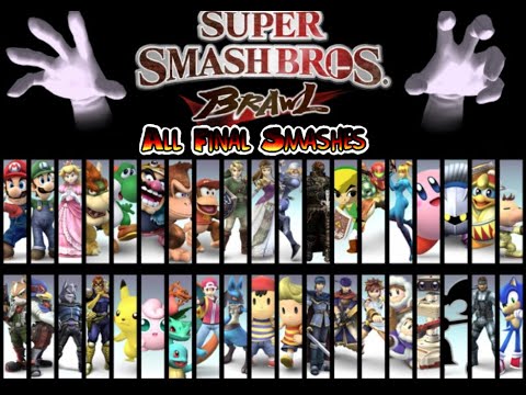 Super Smash Bros. Brawl #11