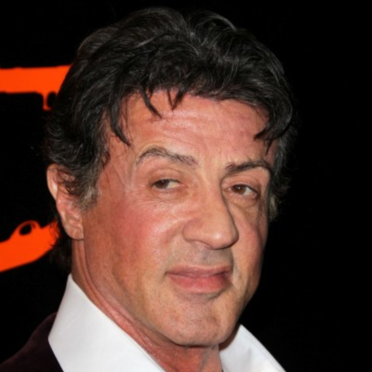 Sylvester Stallone High Quality Background on Wallpapers Vista