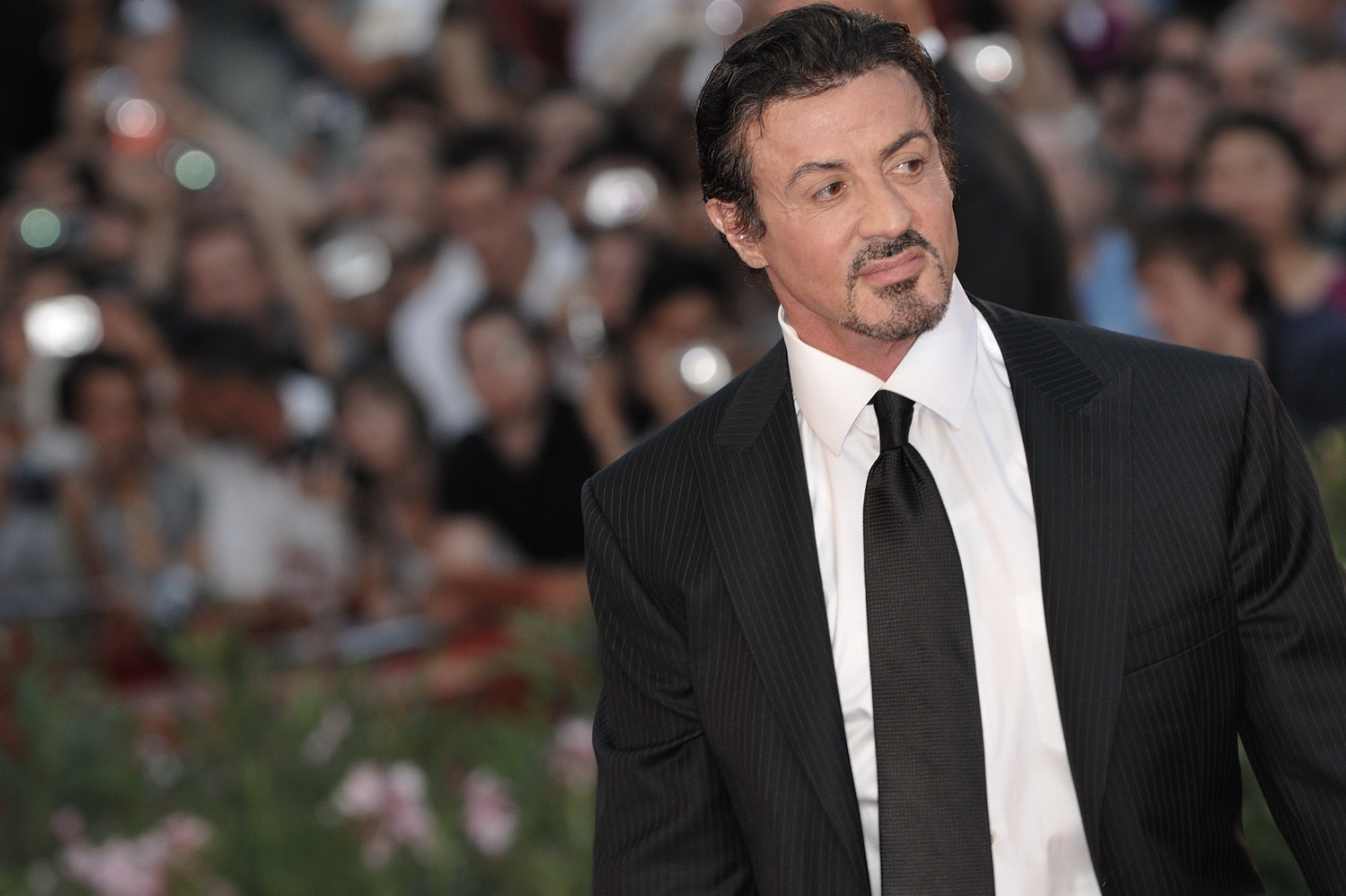 Amazing Sylvester Stallone Pictures & Backgrounds