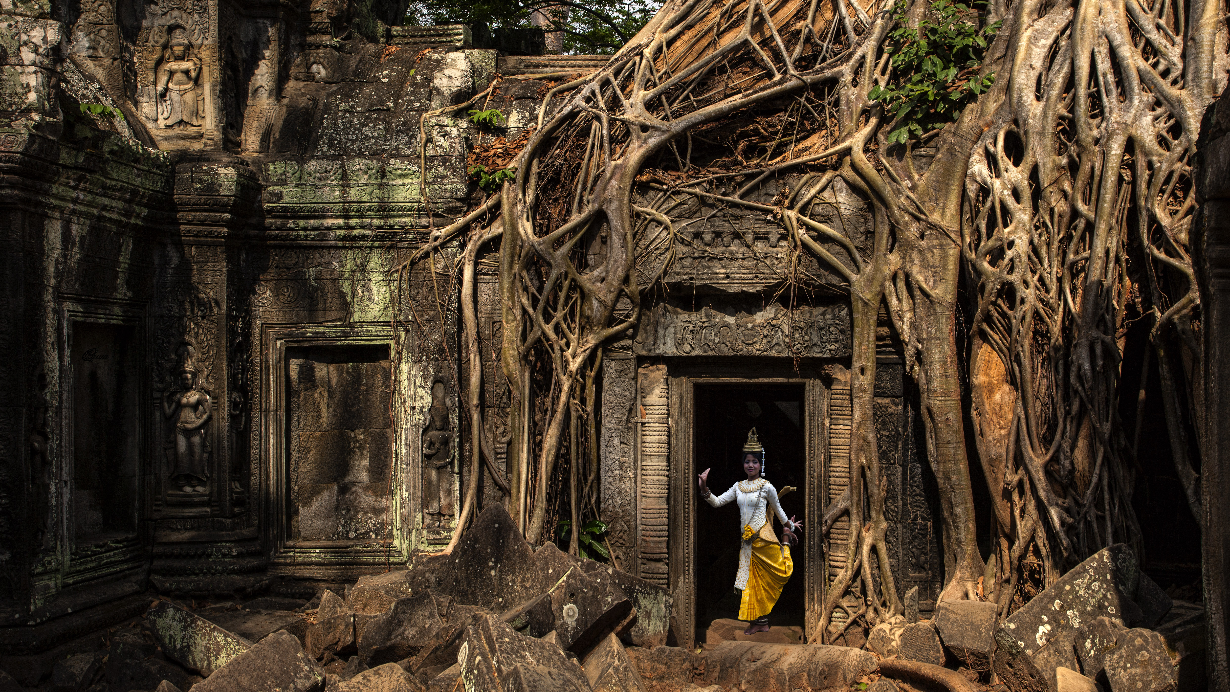 Ta Prohm Backgrounds on Wallpapers Vista