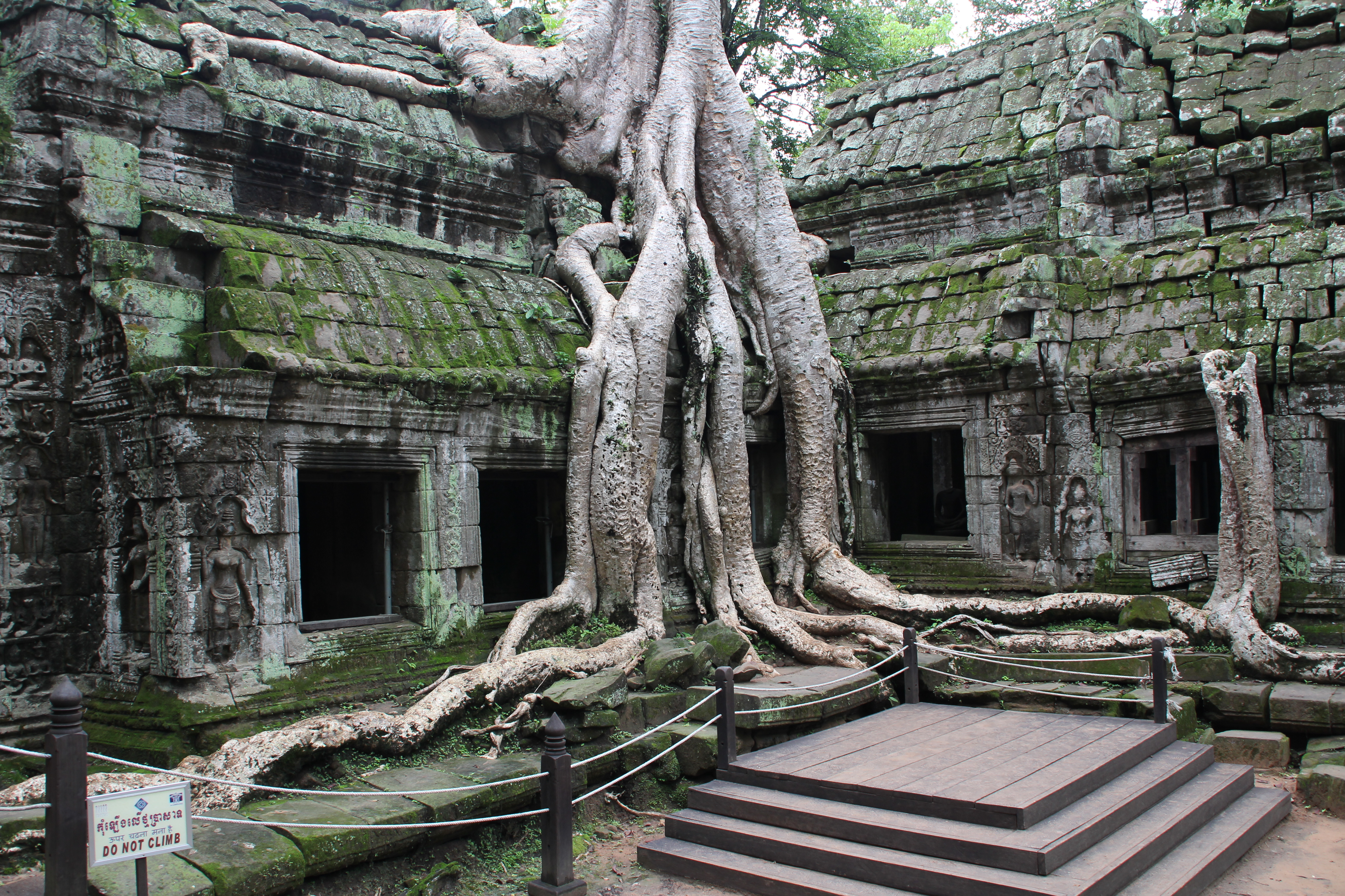 Ta Prohm High Quality Background on Wallpapers Vista