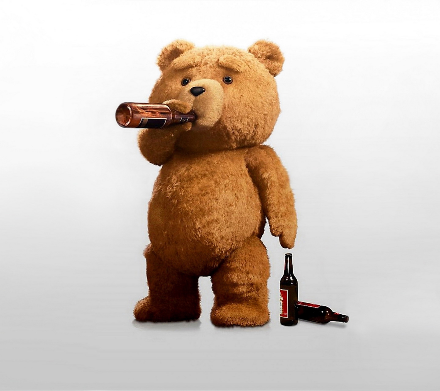 Ted #17