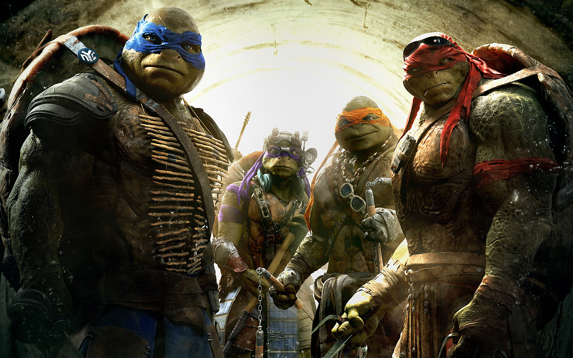 Teenage Mutant Ninja Turtles (2014) HD wallpapers, Desktop wallpaper - most viewed
