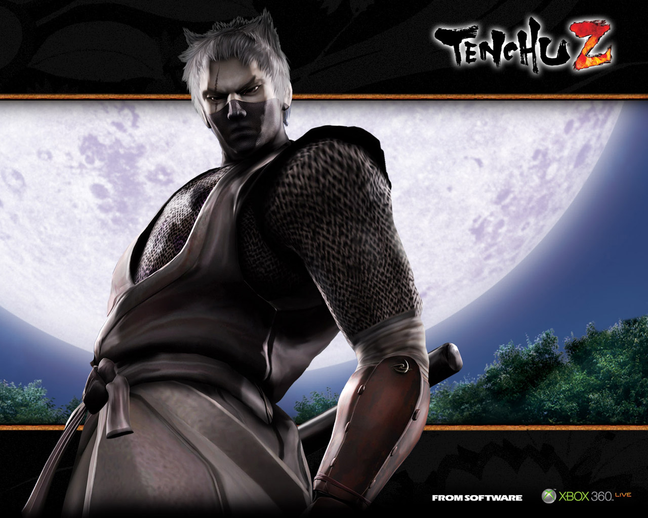 Nice Images Collection: Tenchu Z Desktop Wallpapers