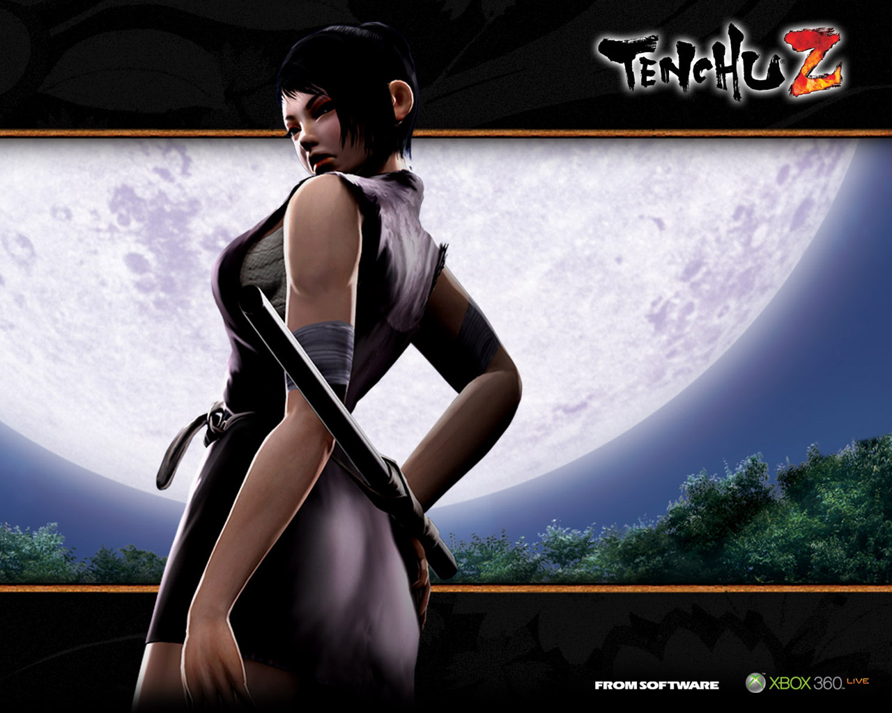 Amazing Tenchu Z Pictures & Backgrounds