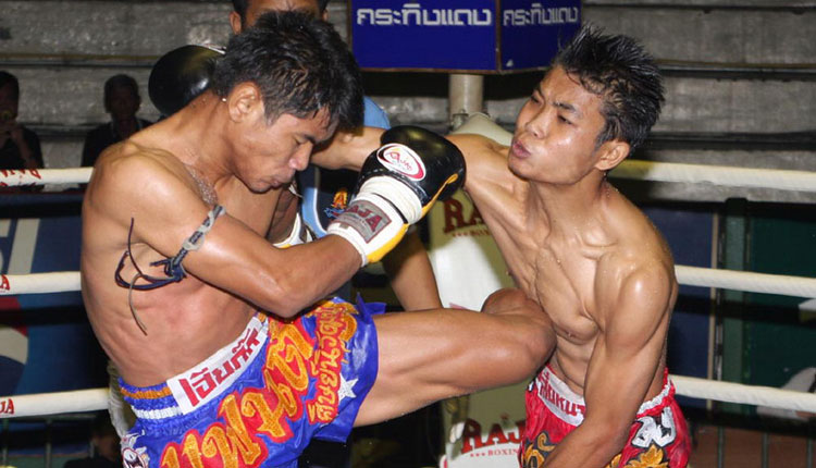 Thai Kickboxing #3
