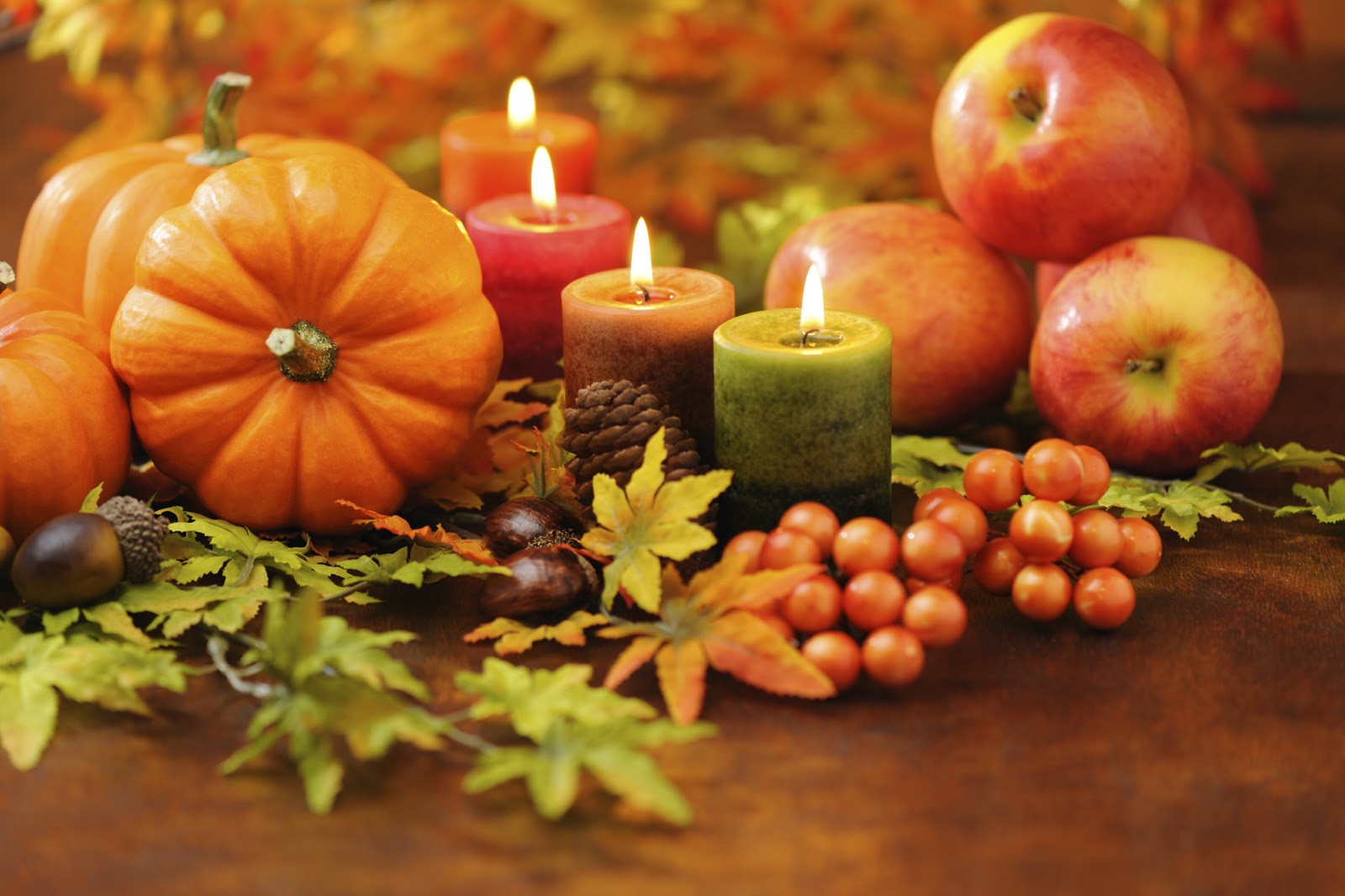 Thanksgiving High Quality Background on Wallpapers Vista