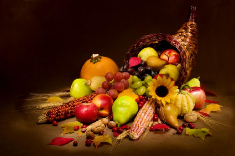 Thanksgiving Backgrounds on Wallpapers Vista