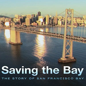 Nice Images Collection: The Bay Desktop Wallpapers