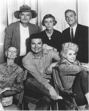Nice wallpapers The Beverly Hillbillies 300x374px