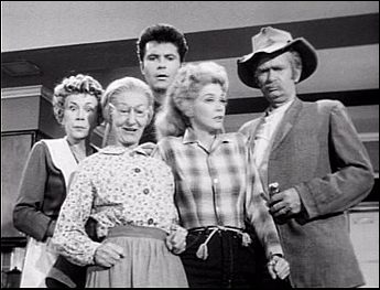 Nice wallpapers The Beverly Hillbillies 345x263px