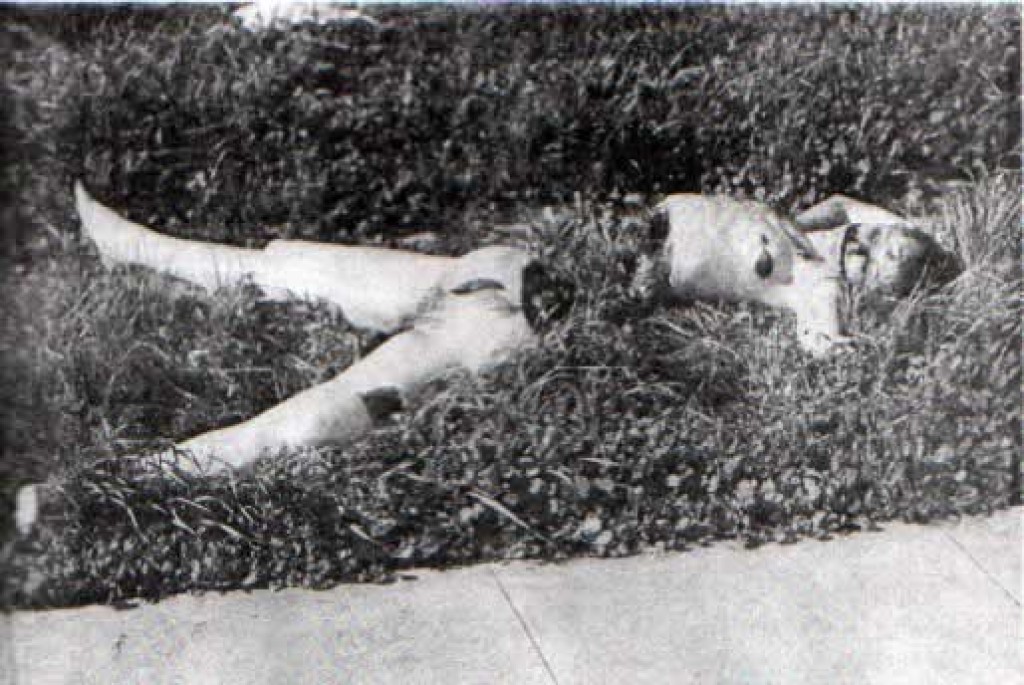 Amazing The Black Dahlia Pictures & Backgrounds