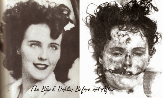 The Black Dahlia #13