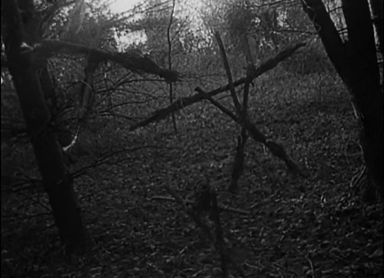 HQ The Blair Witch Project Wallpapers | File 663.38Kb