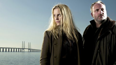 HD Quality Wallpaper | Collection: TV Show, 480x270 The Bridge