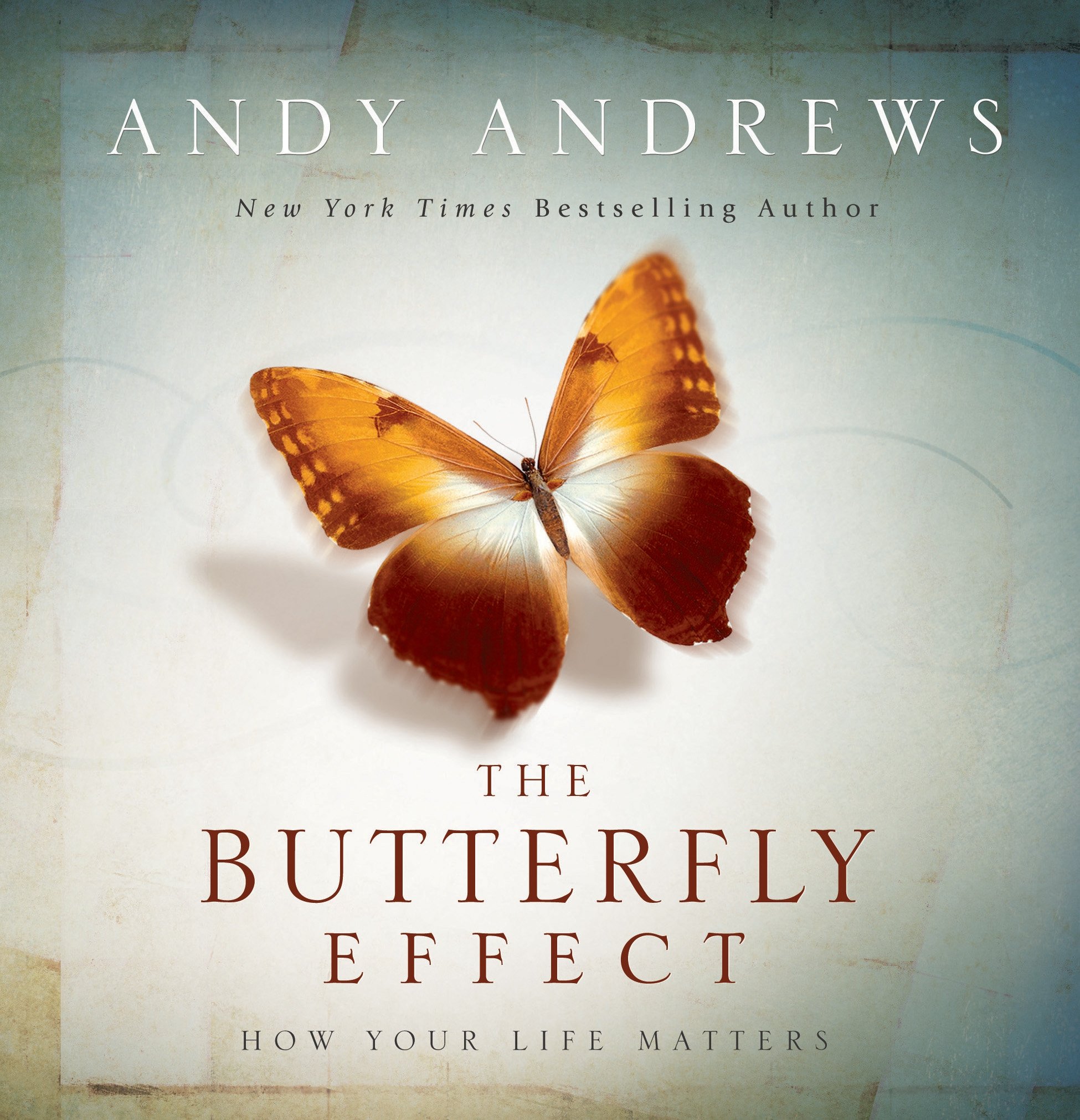 Nice wallpapers The Butterfly Effect 1950x2022px