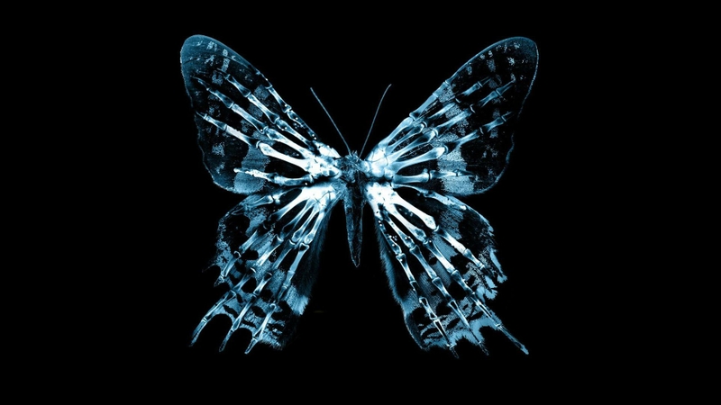 The Butterfly Effect Pics, Movie Collection