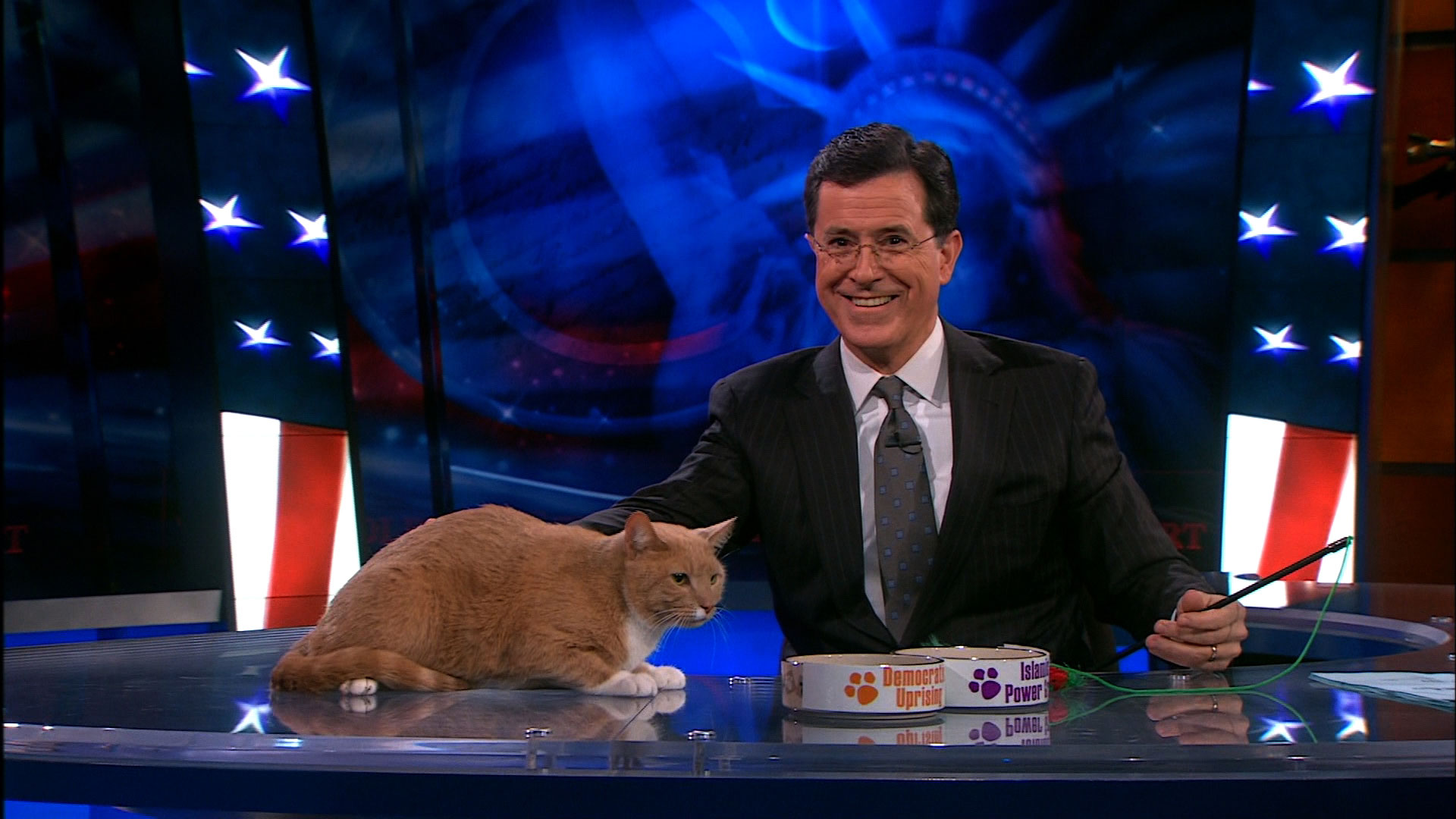 Amazing The Colbert Report Pictures & Backgrounds