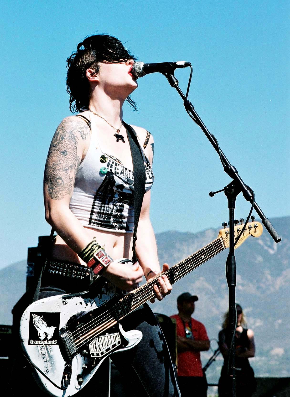 HD Quality Wallpaper | Collection: Music, 1216x1665 The Distillers