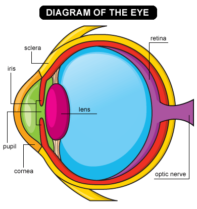 The Eye #18