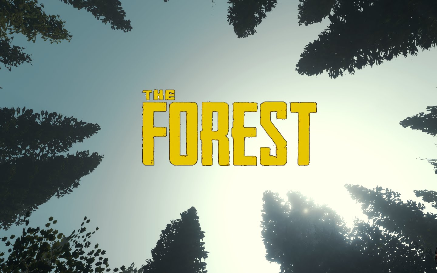 The Forest HD wallpapers, Desktop wallpaper - most viewed