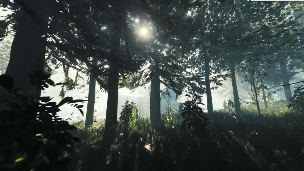 The Forest Backgrounds, Compatible - PC, Mobile, Gadgets| 1280x720 px