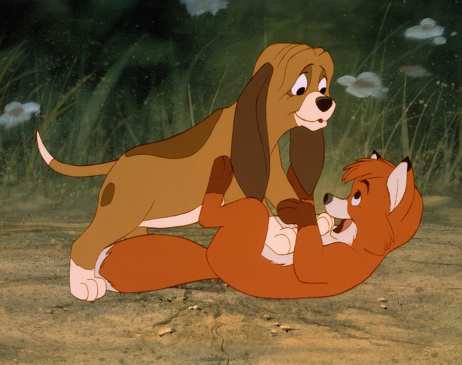 The Fox And The Hound #17