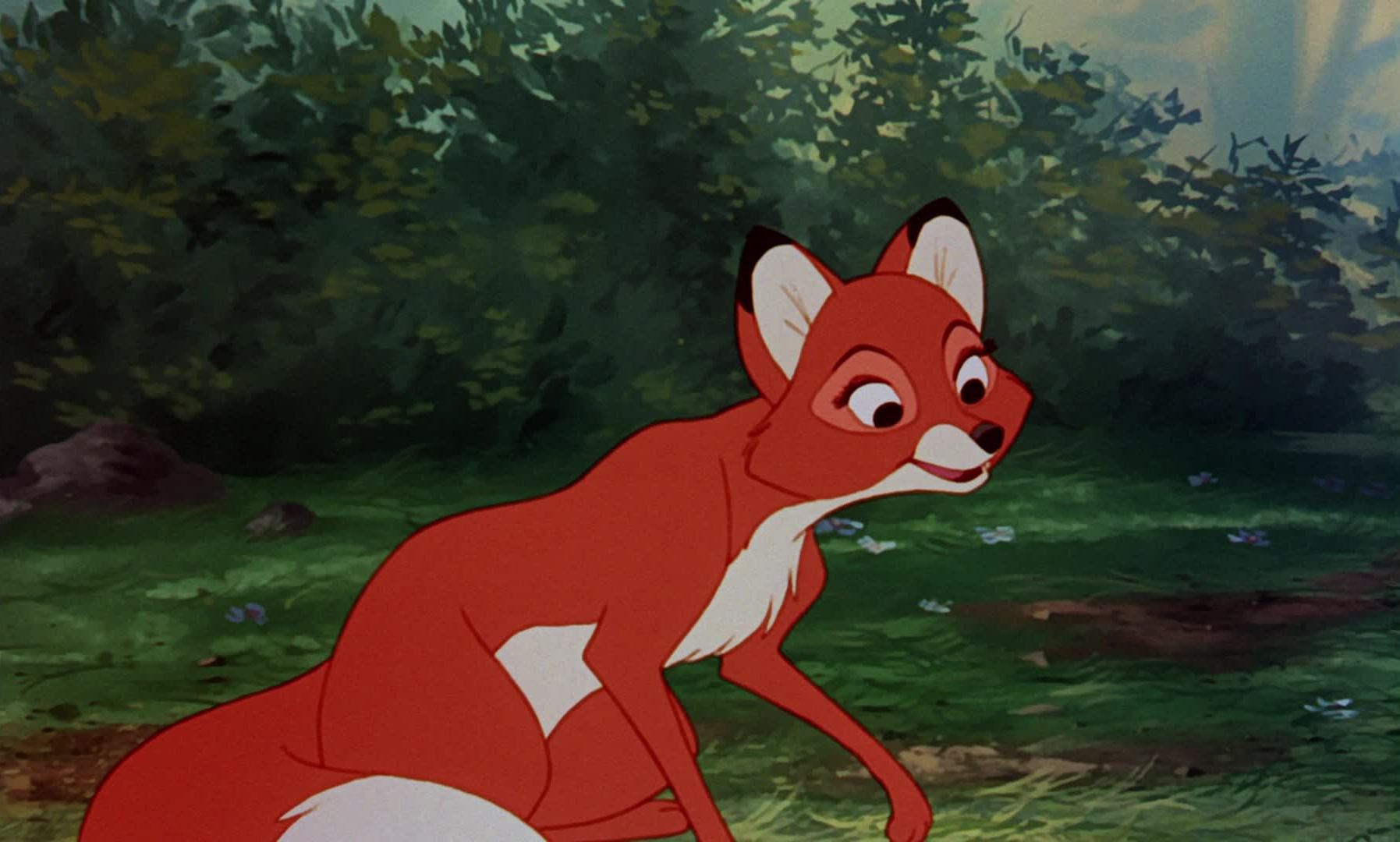 The Fox And The Hound #24