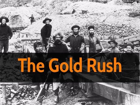Nice Images Collection: The Gold Rush Desktop Wallpapers