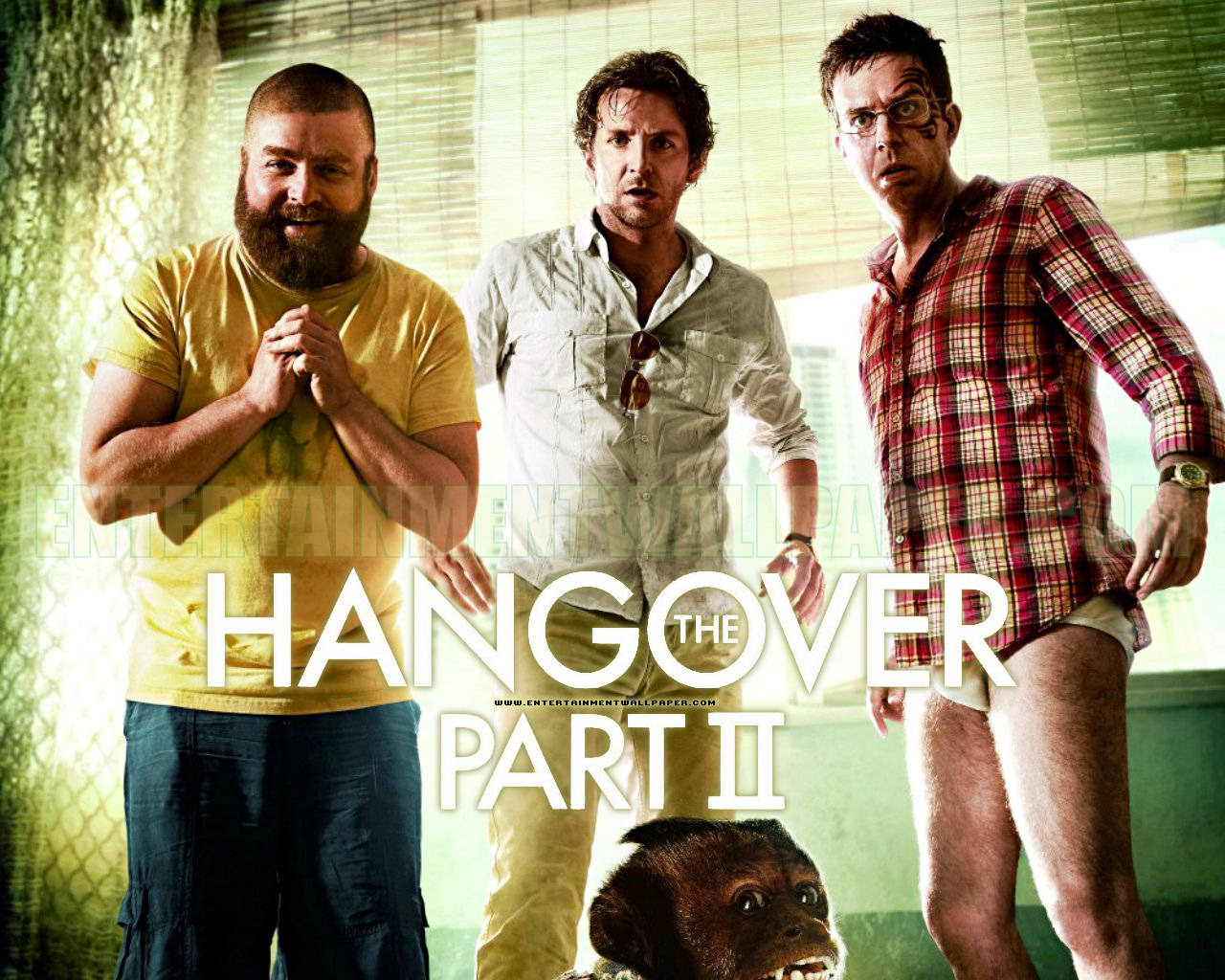 The Hangover Part II Pics, Movie Collection