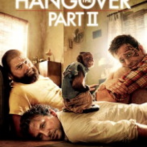 The Hangover #20