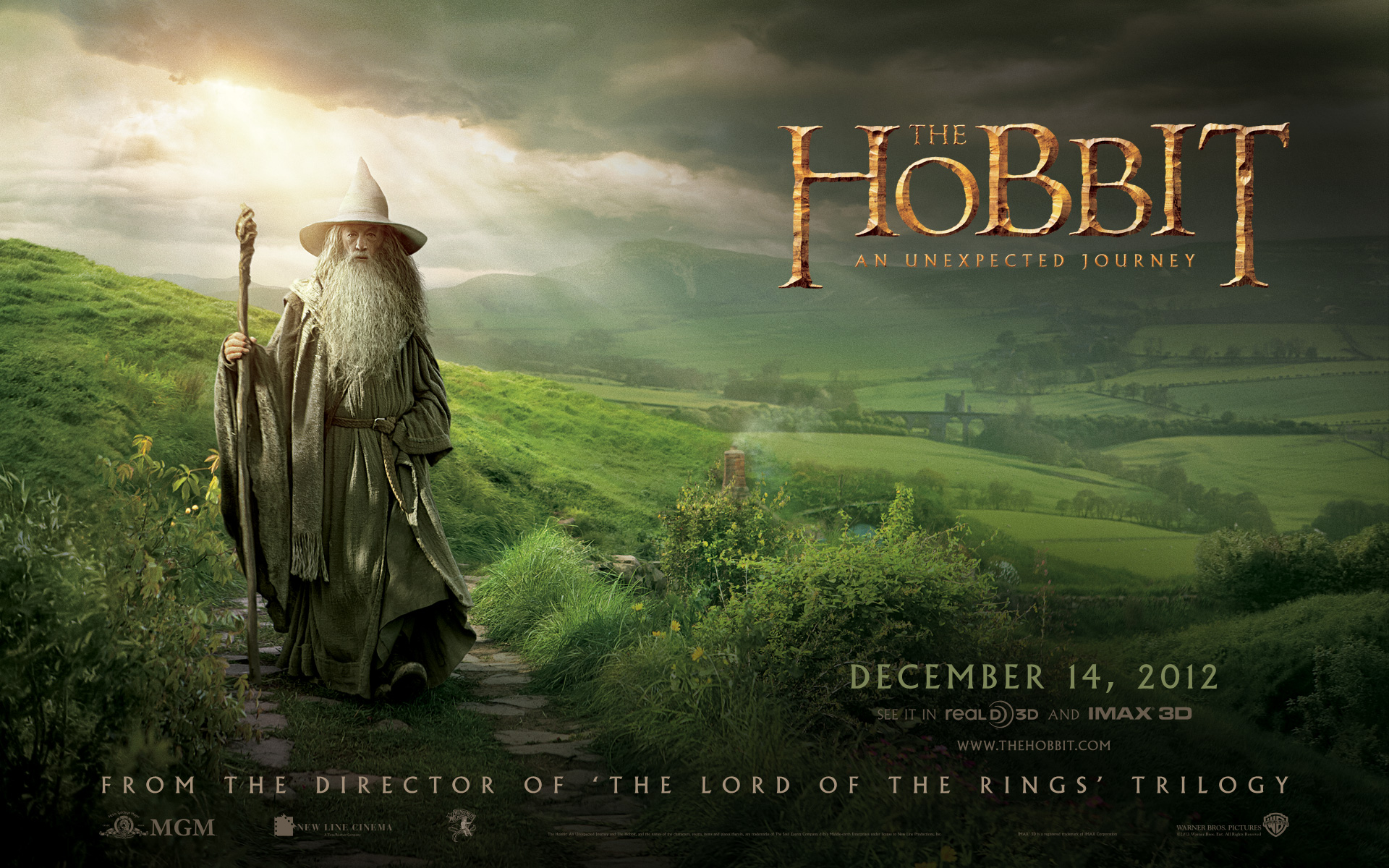 The Hobbit: An Unexpected Journey #8
