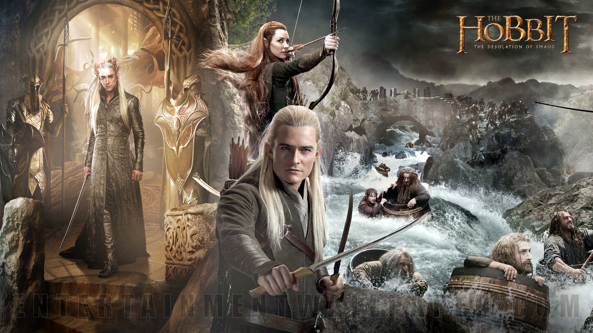 The Hobbit: The Desolation Of Smaug Backgrounds on Wallpapers Vista
